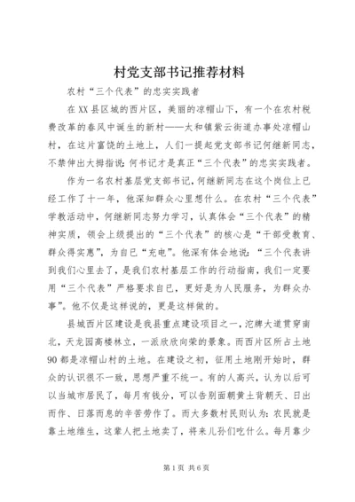 村党支部书记推荐材料 (2).docx