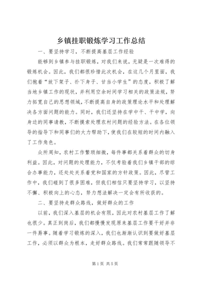 乡镇挂职锻炼学习工作总结.docx