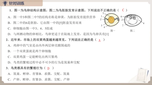 复习专题五生物的生殖和发育（串讲课件）-八年级生物上学期期末考点大串讲（人教版）(共20张PPT)