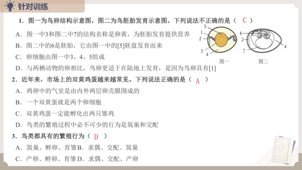 复习专题五生物的生殖和发育（串讲课件）-八年级生物上学期期末考点大串讲（人教版）(共20张PPT)