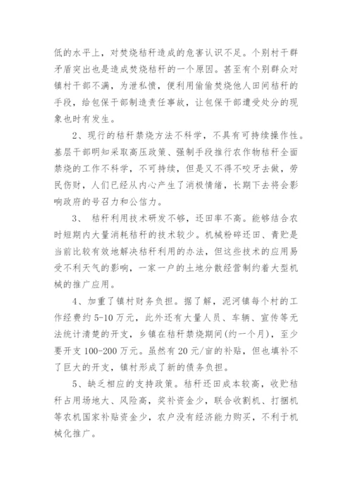 乡镇秸秆禁烧工作总结.docx