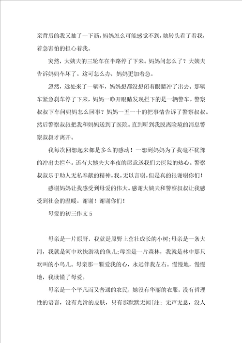 母爱的初三作文 2