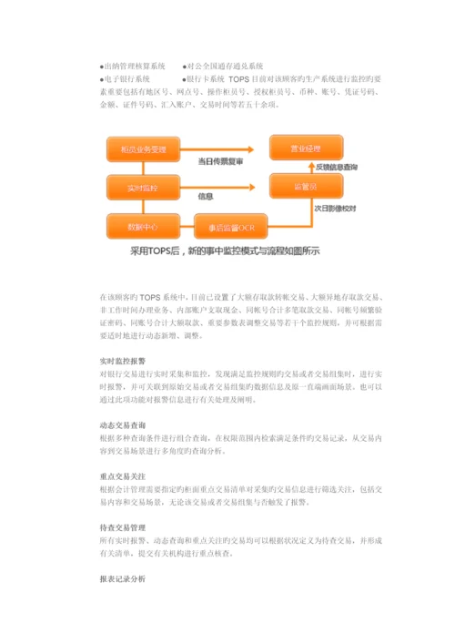 风险控制系统模式.docx