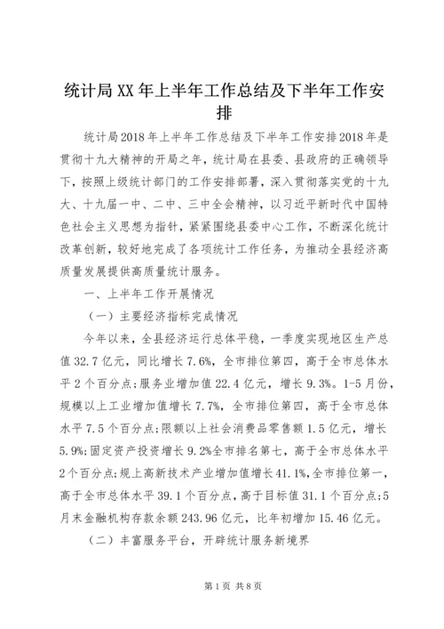 统计局XX年上半年工作总结及下半年工作安排 (2).docx