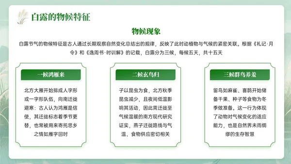 绿色中国风白露节气知识PPT模板