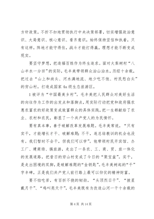 学习毛丰美实干促振兴专题研讨发言提纲.docx