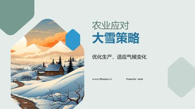 农业应对大雪策略