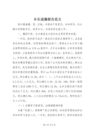 乡长述廉报告范文.docx