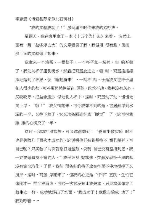 懂得道理的作文