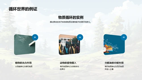 生态平衡与食物链