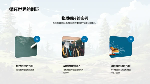 生态平衡与食物链