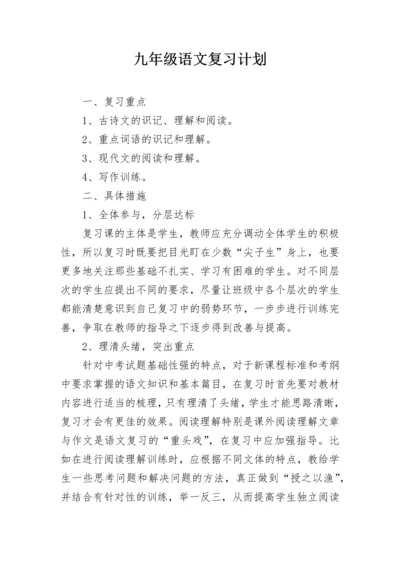 九年级语文复习计划.docx