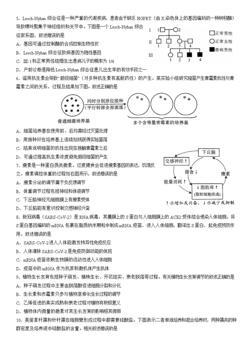 2022北京西城高三一模生物（教师版）