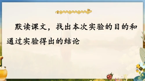14《蜜蜂》课件