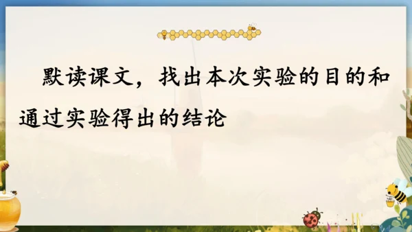 14《蜜蜂》课件