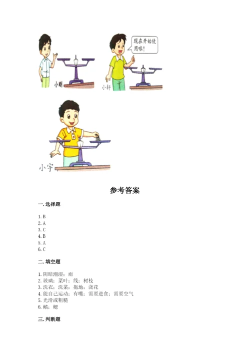 教科版小学科学一年级下册期末测试卷精品（名校卷）.docx