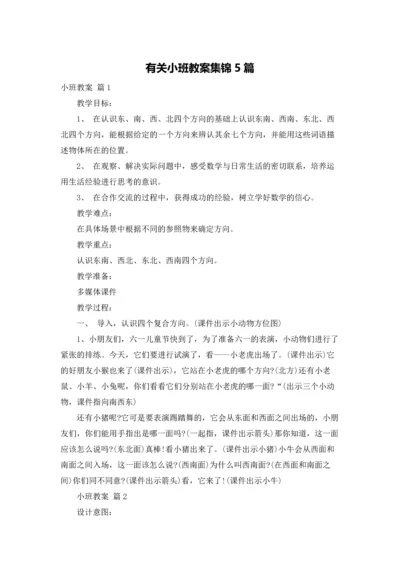 有关小班教案集锦5篇.docx