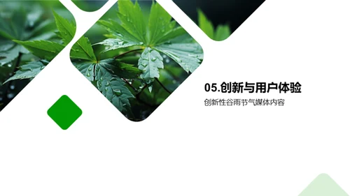 谷雨传播新实践