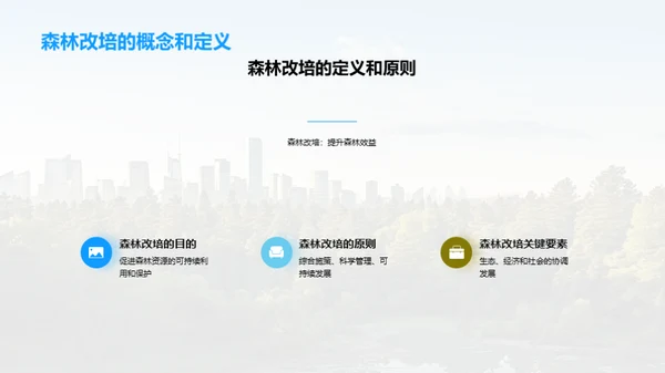 森林改培：挽救绿肺