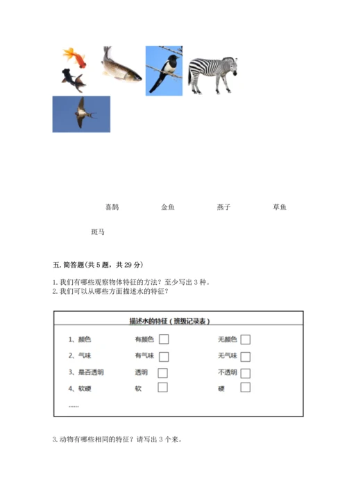 教科版一年级下册科学期末测试卷带答案（b卷）.docx