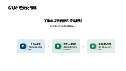 项目半年度回顾与策略