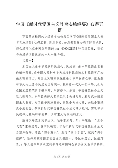 学习《新时代爱国主义教育实施纲要》心得五篇.docx