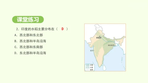 8.3 印度（课件35张）-2024-2025学年七年级地理下学期人教版(2024)