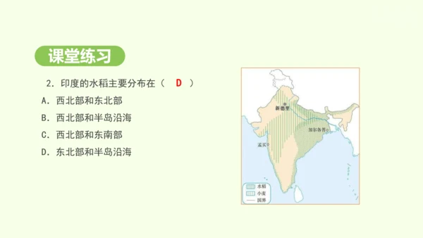 8.3 印度（课件35张）-2024-2025学年七年级地理下学期人教版(2024)