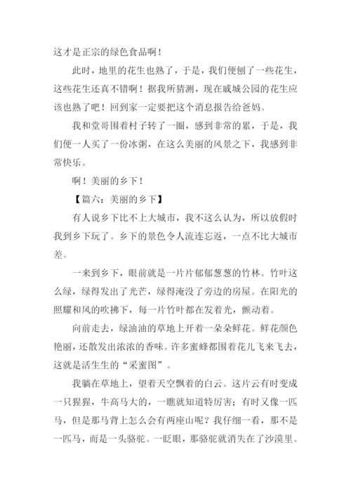美丽的乡下作文.docx