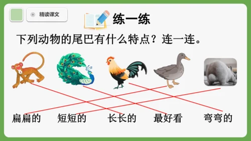 8《比尾巴》课件