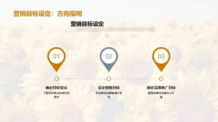 夏至营销战略解析