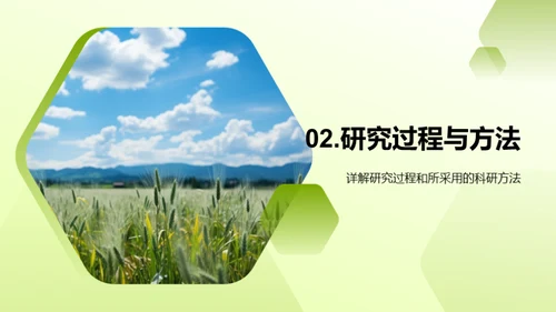 农学研究全景
