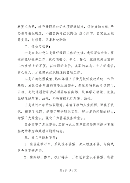 省政府派挂职锻炼工作总结.docx