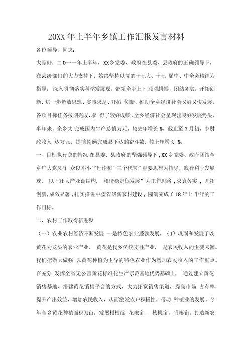 2019年上半年乡镇工作汇报发言材料