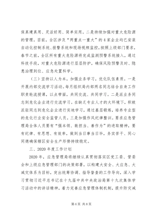 应急管理局工作总结及XX年工作计划.docx