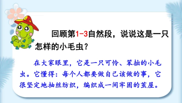 22.小毛虫（第二课时）教学课件