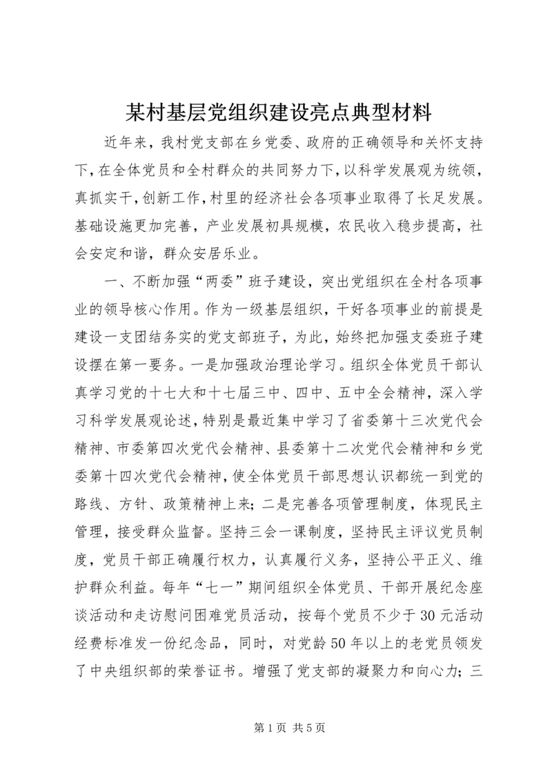 某村基层党组织建设亮点典型材料 (2).docx