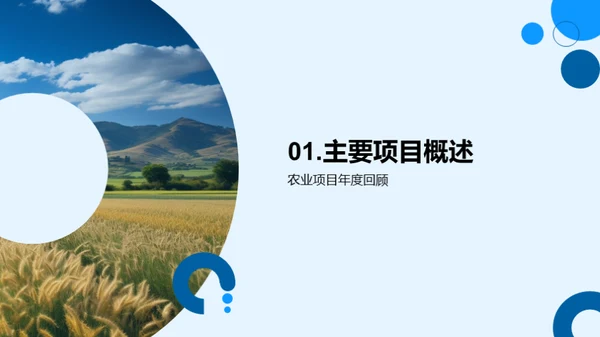 农业供应链全面回顾