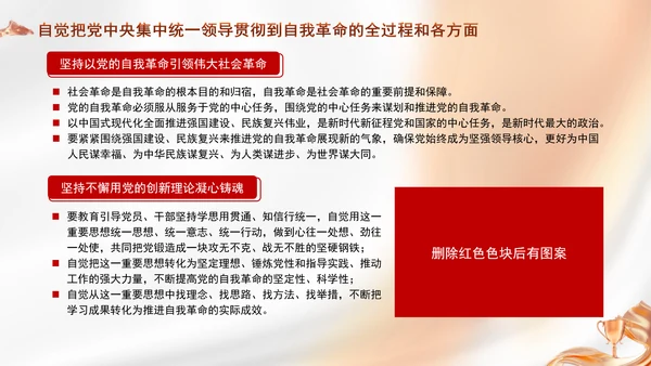 以坚持党中央集中统一领导为根本保证专题党课PPT