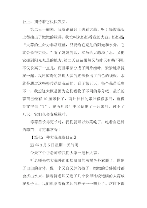 种大蒜观察日记.docx