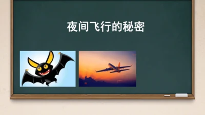 6 夜间飞行的秘密（课件）