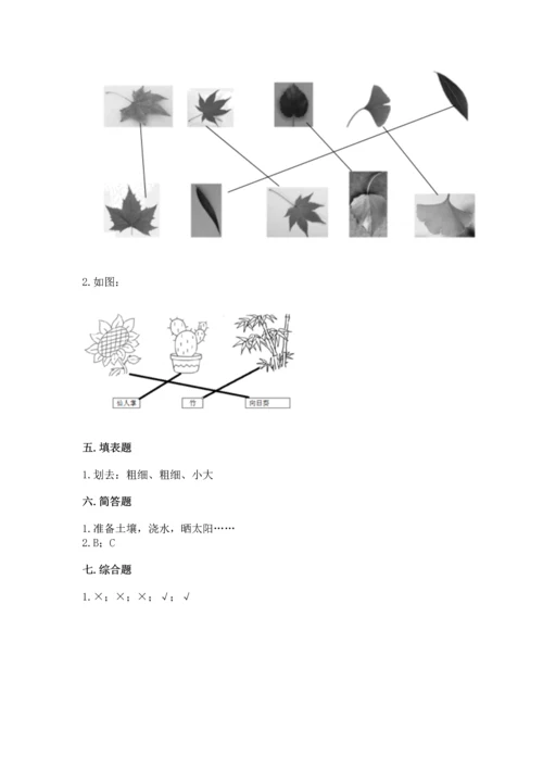 教科版科学一年级上册第一单元《植物》测试卷及完整答案（必刷）.docx