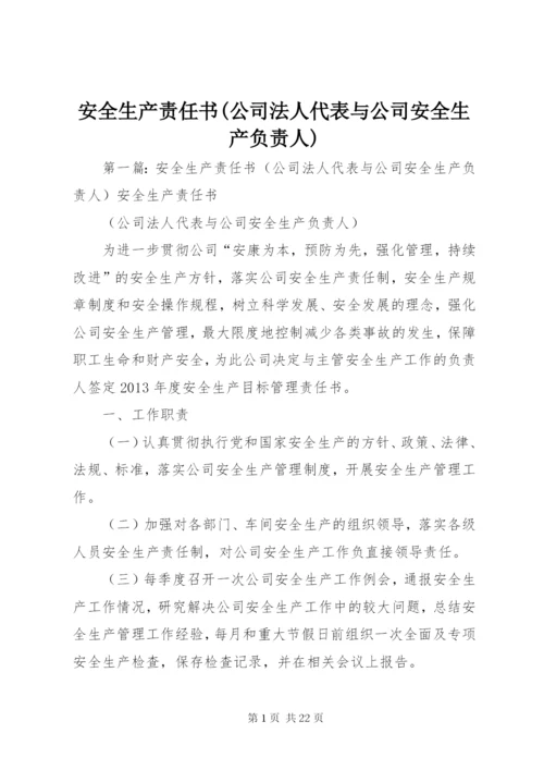 安全生产责任书(公司法人代表与公司安全生产负责人).docx