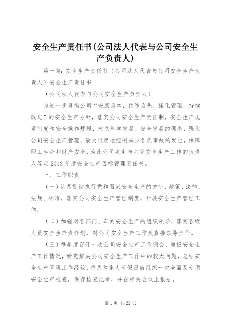 安全生产责任书(公司法人代表与公司安全生产负责人).docx