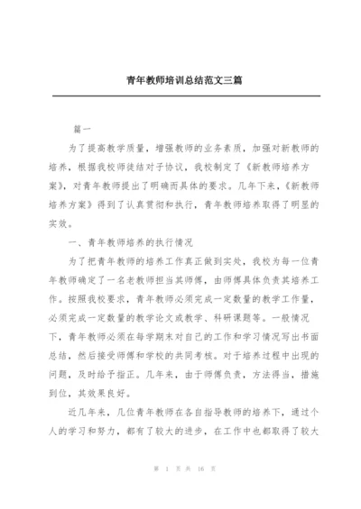 青年教师培训总结范文三篇.docx