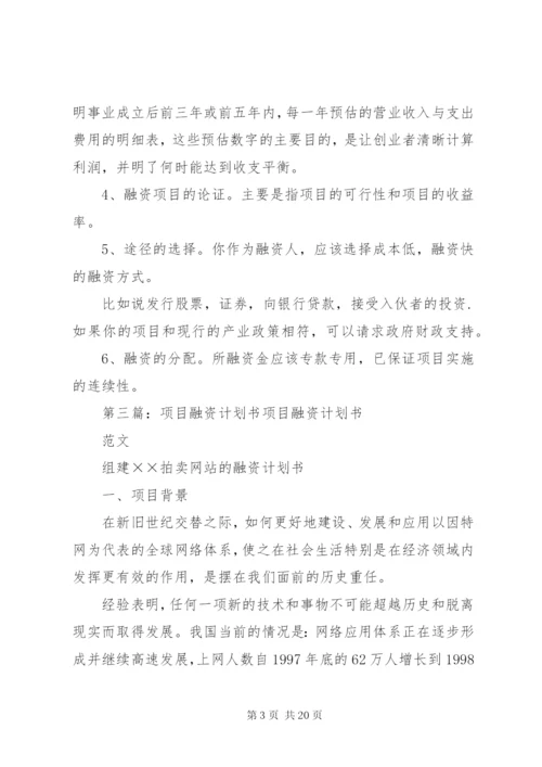 项目融资计划书 (6).docx