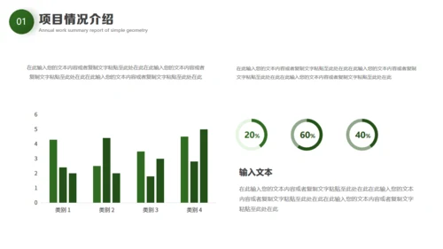 绿色环保新能源项目计划书通用PPT