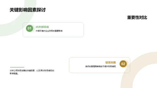 财务回顾与未来规划