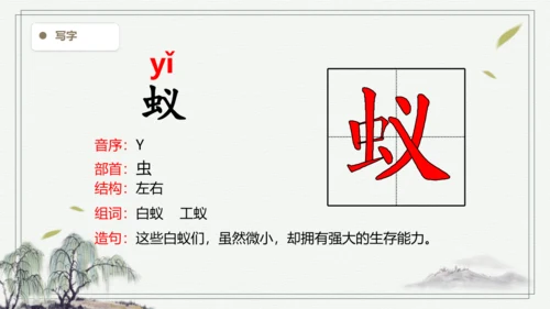 【2024秋季学期教材】语文三上22. 读不完的大书  生字识记课件