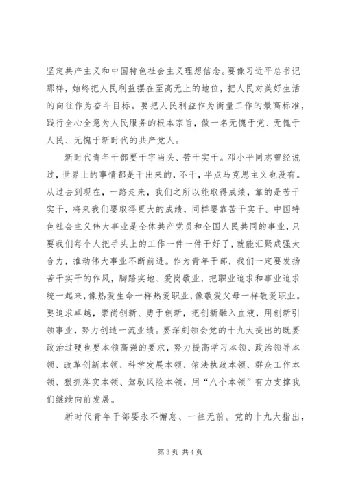 新时代青年干部学习十九大心得.docx